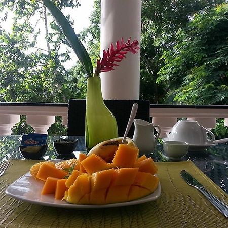 Lime Hill Lodge Anse aux Pins Buitenkant foto